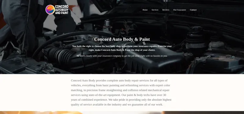 WordPress portfolio desktop captures 4