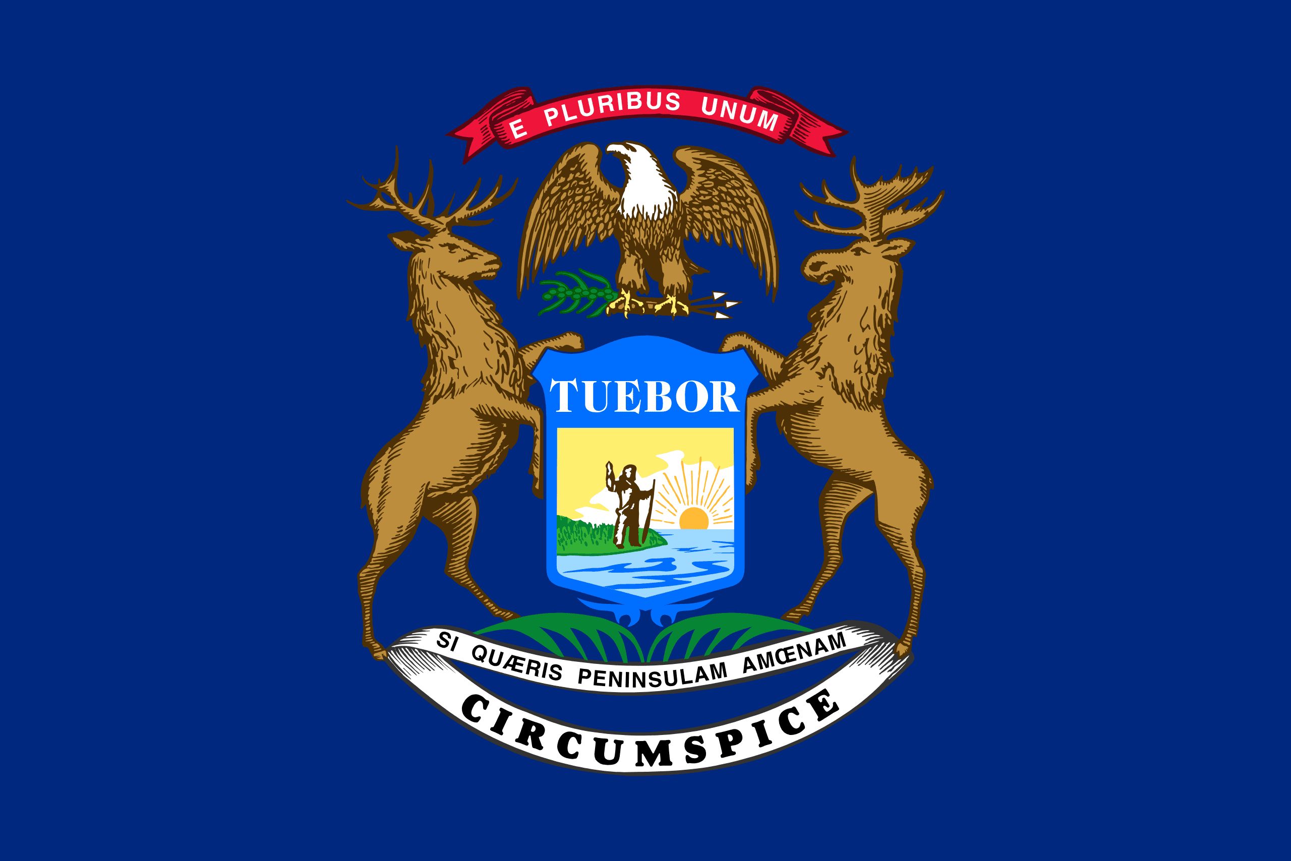 Michigan web design agency service area photo